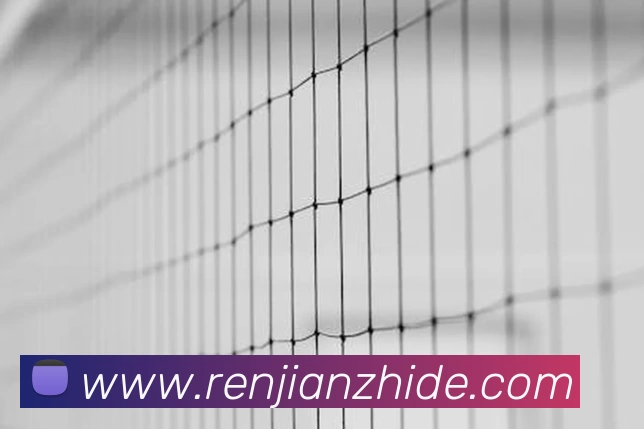 CCTV奥运频道转播奥运赛事安排 便于观众锁定重点比赛直播